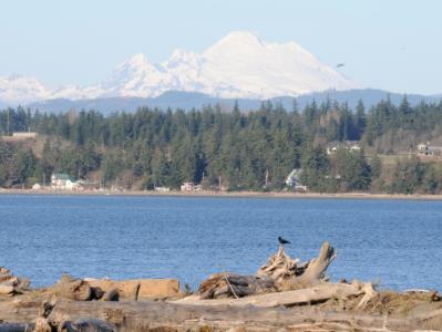 Iverson Preserve looking across to Whidby Island