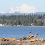 Iverson Preserve looking across to Whidby Island