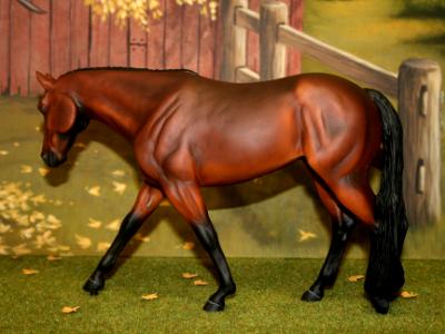 New! Western Pleasure Mare