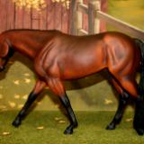 New! Western Pleasure Mare