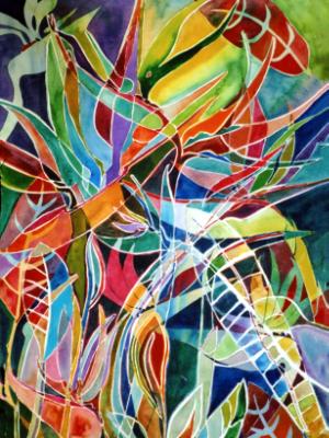 Bird of Paradise Bird of Paradise