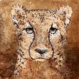 Animals Animals