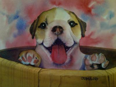 Pup in a Tub (watercolor)