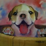 Pup in a Tub (watercolor)