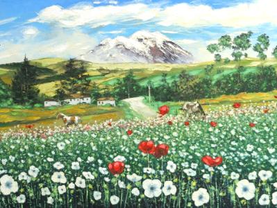 Flowers of the Chimborazo mountain, 120cm x 60cm, 2013 Flowers of the Chimborazo mountain, 120cm x 60cm, 2013