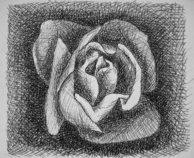 Rose Coming Out of the Void Rose Coming Out of the Void