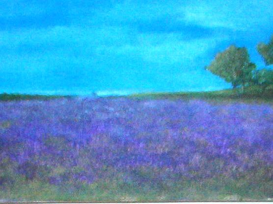 purple fields of the Alentejo