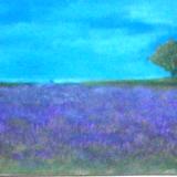 purple fields of the Alentejo