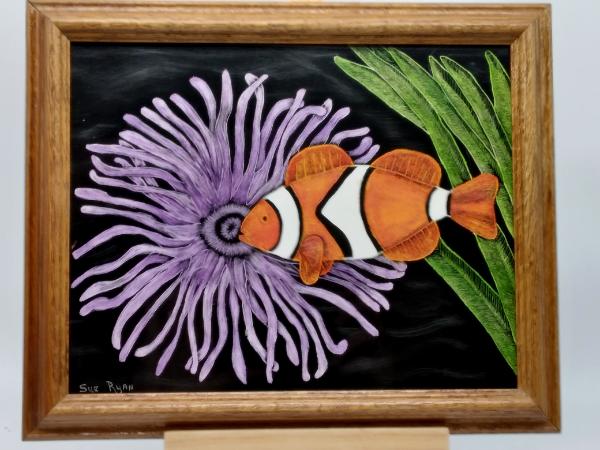 Clown fish on Anemone