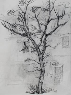 Tree Study