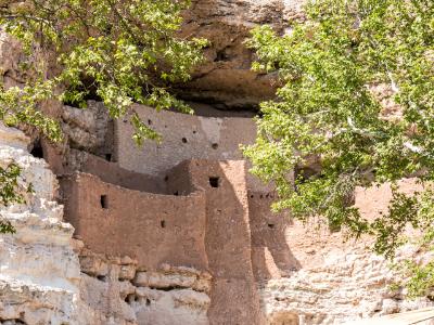 Montezuma Castle Sycamore Trees Montezuma Castle Sycamore Trees