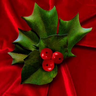 Holly and Ivy pin Holly and Ivy pin