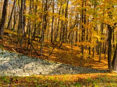 Catskills Stone Wall Catskills Stone Wall