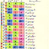 Syllogism Table IV