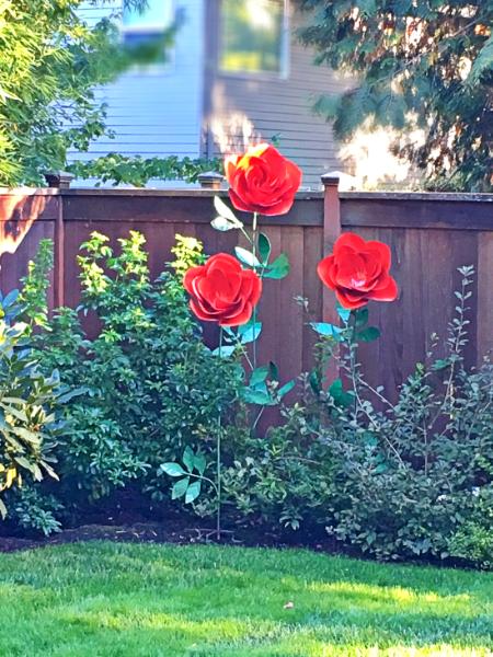Giant Roses
