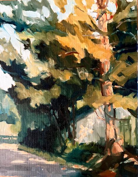 “Pine Bough Lane”