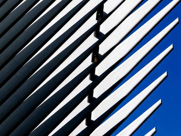 The Oculus