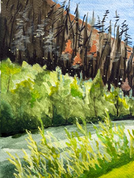 Trinity River 