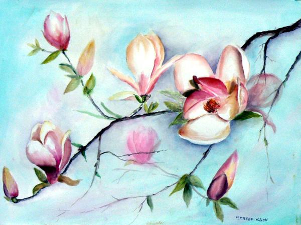 Saucer Magnolias