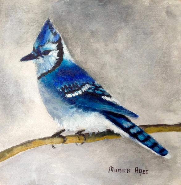 Blue Jay 8x10 panel in acylic