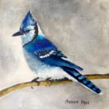 Blue Jay 8x10 panel in acylic