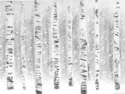 Birch Forest