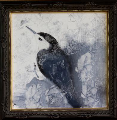 Nuthatch