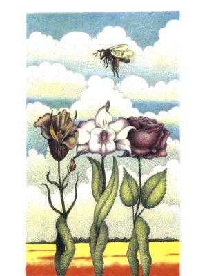 The Bee The Bee