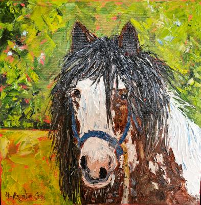 Irish Cob