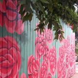 8x22ft Exterior Mural otto's roses