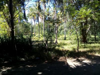 off the main paths off the main paths