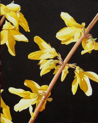 Forsythia  36" x 48"