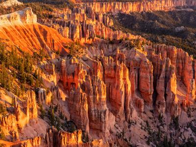 Pink Cliffs Sunrise Pink Cliffs Sunrise