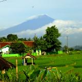 Mt Slamet