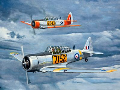 South African Air Force T-6 Harvards