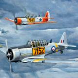 South African Air Force T-6 Harvards