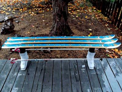 Bench 17B