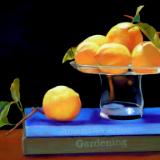 Books and Lemons