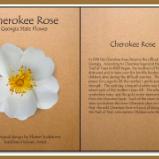 Cherokee Rose, Georgia State Flower