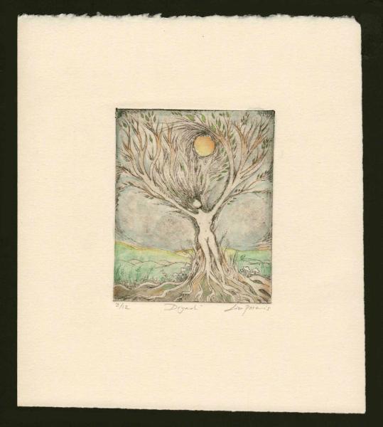Dryad limited edition etching handcolored drypoint etching print of a tree goddess