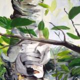 Birch Unfurled
