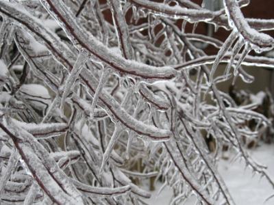 ice storm ice storm