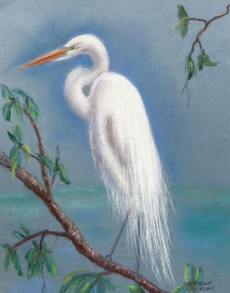 Great Egret