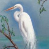 Great Egret