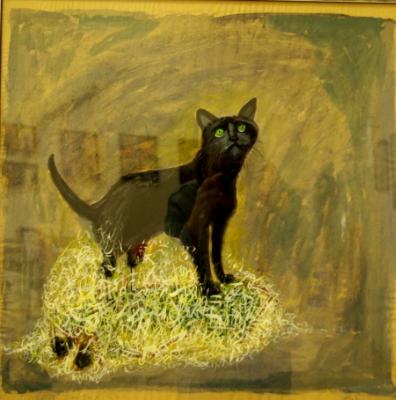 Oscar, the Bionic Cat of England Oscar, the Bionic Cat of England