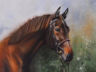 The beauty of the English Pure Blood horse, 38cm x 56cm, 2021