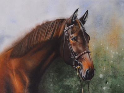 The beauty of the English Pure Blood horse, 38cm x 56cm, 2021 The beauty of the English Pure Blood horse, 38cm x 56cm, 2021