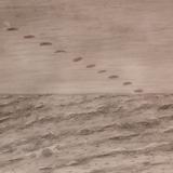 Steps