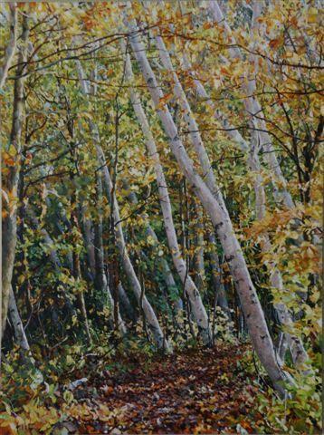 Birch Trail