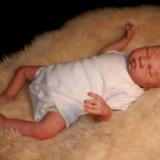  Reborn Preeemie Baby ~ Lane ~ ADOPTED/SOLD